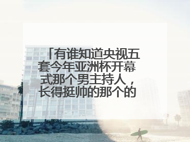 有谁知道央视五套今年亚洲杯开幕式那个男主持人,长得挺帅的那个的个人资料啊?