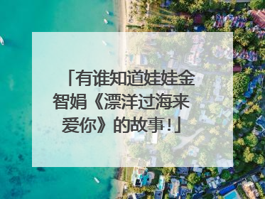 有谁知道娃娃金智娟《漂洋过海来爱你》的故事!