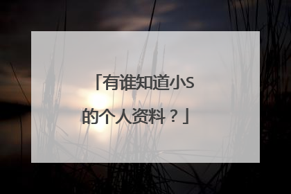有谁知道小S的个人资料？