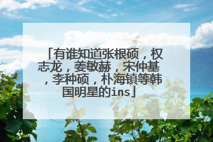 有谁知道张根硕,权志龙,姜敏赫,宋仲基,李种硕,朴海镇等韩国明星的ins