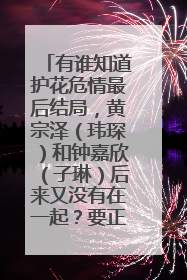 有谁知道护花危情最后结局，黄宗泽（玮琛）和钟嘉欣（子琳）后来又没有在一起？要正确，求高手！