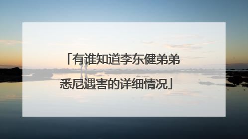 有谁知道李东健弟弟悉尼遇害的详细情况