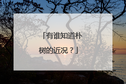 有谁知道朴树的近况？