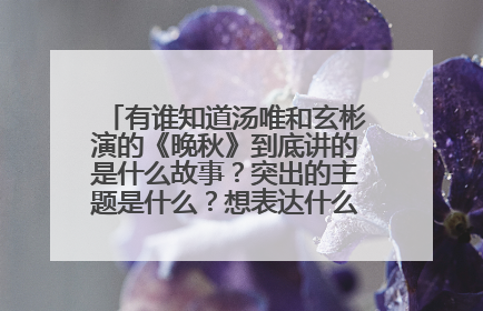 有谁知道汤唯和玄彬演的《晚秋》到底讲的是什么故事?突出的主题是什么?想表达什么意思啊?看不懂~