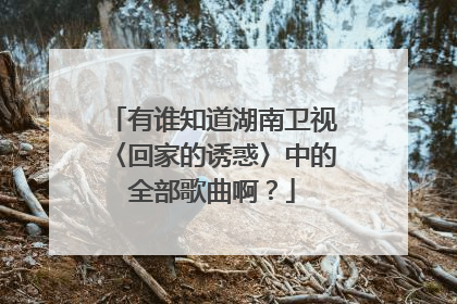 有谁知道湖南卫视〈回家的诱惑〉中的全部歌曲啊？