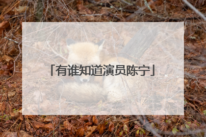 有谁知道演员陈宁