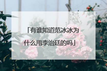 有谁知道范冰冰为什么甩李治廷的吗