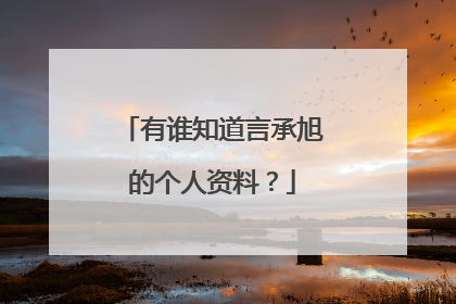 有谁知道言承旭的个人资料?