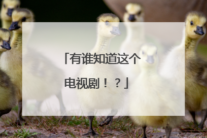 有谁知道这个电视剧！？