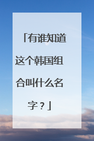 有谁知道这个韩国组合叫什么名字?
