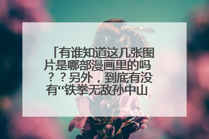 有谁知道这几张图片是哪部漫画里的吗？？另外，到底有没有“铁拳无敌孙中山”这部漫画啊？