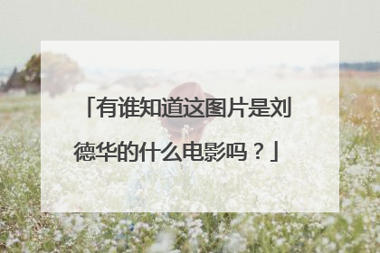 有谁知道这图片是刘德华的什么电影吗?