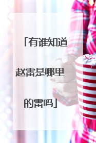 有谁知道赵雷是哪里的雷吗