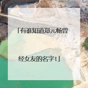 有谁知道郑元畅曾经女友的名字!