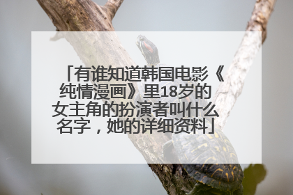 有谁知道韩国电影《纯情漫画》里18岁的女主角的扮演者叫什么名字，她的详细资料
