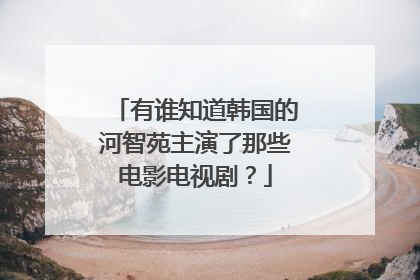 有谁知道韩国的河智苑主演了那些电影电视剧？