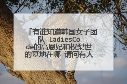 有谁知道韩国女子团队 LadiesCode的高恩妃和权梨世的墓地在哪 请问有人知道的告诉我一下谢