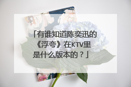 有谁知道陈奕迅的《浮夸》在KTV里是什么版本的？