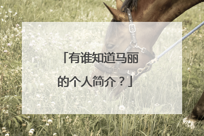 有谁知道马丽的个人简介?