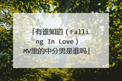 有谁知道（Falling In Love）MV里的中分男是谁吗