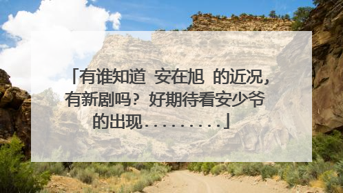 有谁知道 安在旭 的近况, 有新剧吗? 好期待看安少爷的出现.........