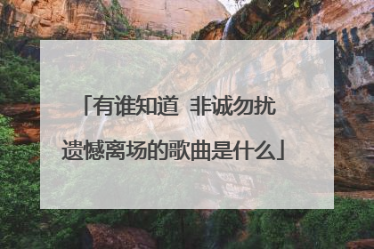 有谁知道 非诚勿扰 遗憾离场的歌曲是什么
