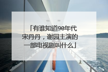 有谁知道90年代宋丹丹，谢园主演的一部电视剧叫什么