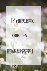 有谁知道COOKIES的成员名字