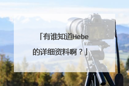 有谁知道Hebe的详细资料啊？