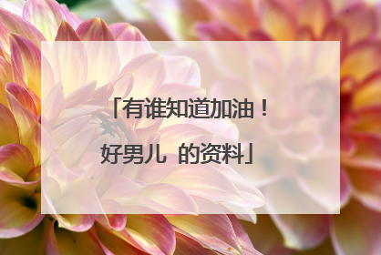 有谁知道加油！好男儿 的资料