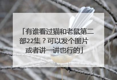 有谁看过猫和老鼠第二部22集?可以发个图片或者讲一讲也行的