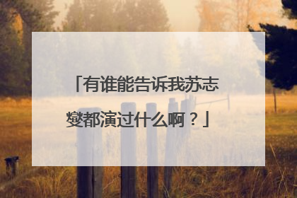 有谁能告诉我苏志燮都演过什么啊？