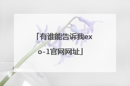 有谁能告诉我exo-l官网网址