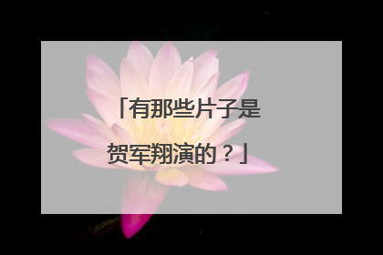 有那些片子是贺军翔演的？