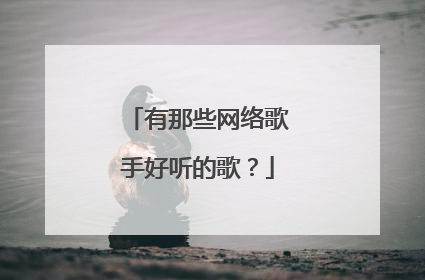 有那些网络歌手好听的歌？