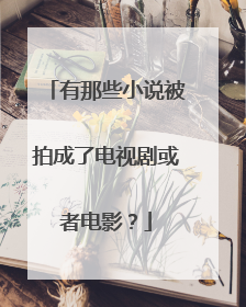 有那些小说被拍成了电视剧或者电影?