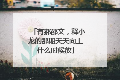 有郝邵文，释小龙的那期天天向上什么时候放