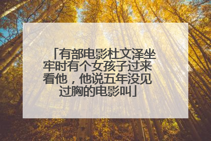 有部电影杜文泽坐牢时有个女孩子过来看他,他说五年没见过胸的电影叫