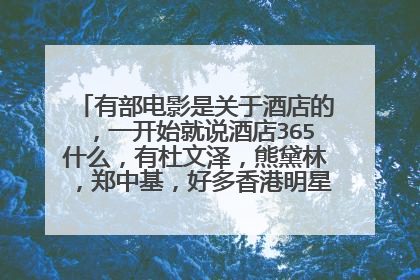 有部电影是关于酒店的,一开始就说酒店365什么,有杜文泽,熊黛林,郑中基,好多香港明星,有个角色叫