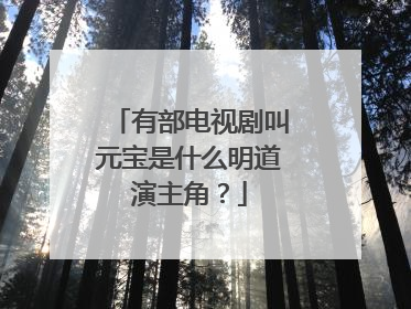 有部电视剧叫元宝是什么明道演主角?