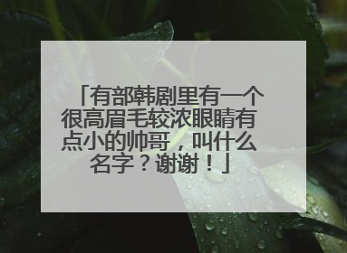 有部韩剧里有一个很高眉毛较浓眼睛有点小的帅哥，叫什么名字？谢谢！