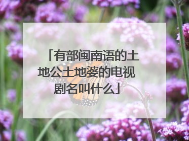 有部闽南语的土地公土地婆的电视剧名叫什么