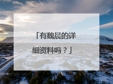 有魏晨的详细资料吗？