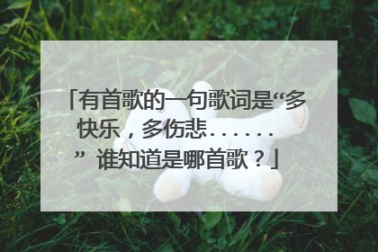 有首歌的一句歌词是“多快乐，多伤悲......” 谁知道是哪首歌？