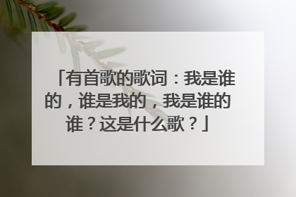 有首歌的歌词:我是谁的,谁是我的,我是谁的谁?这是什么歌?