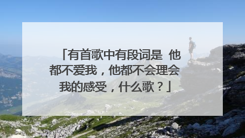 有首歌中有段词是 他都不爱我，他都不会理会我的感受，什么歌？
