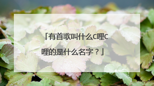有首歌叫什么C哩C哩的是什么名字？