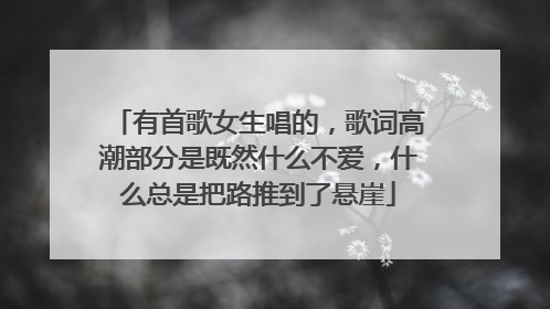 有首歌女生唱的，歌词高潮部分是既然什么不爱，什么总是把路推到了悬崖