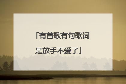 有首歌有句歌词是放手不爱了