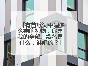 有首歌词中唱多么痛的礼物，你是我的全部。歌名是什么，谁唱的？